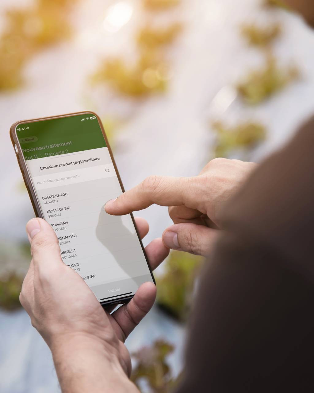 Agriculteur en train d'utiliser l'application PHYZ de registre phytosanitaire sur une parcelle de salades