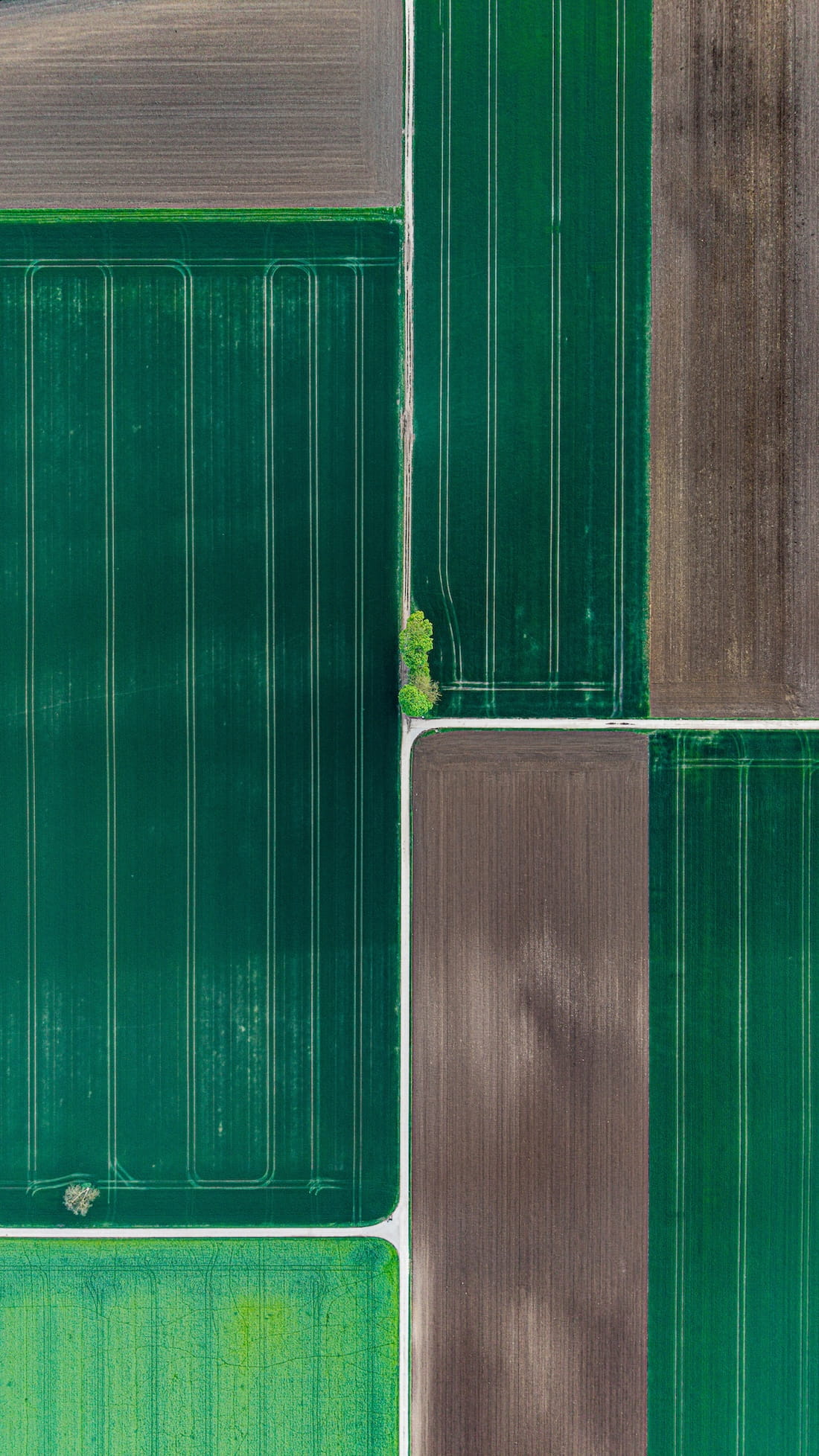 Parcelles agricoles d'exploitants d'une même coopérative agricole